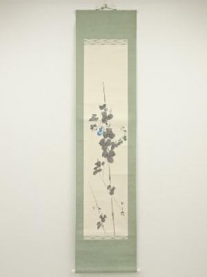 有井祥雲筆　朝顔　肉筆紙本掛軸